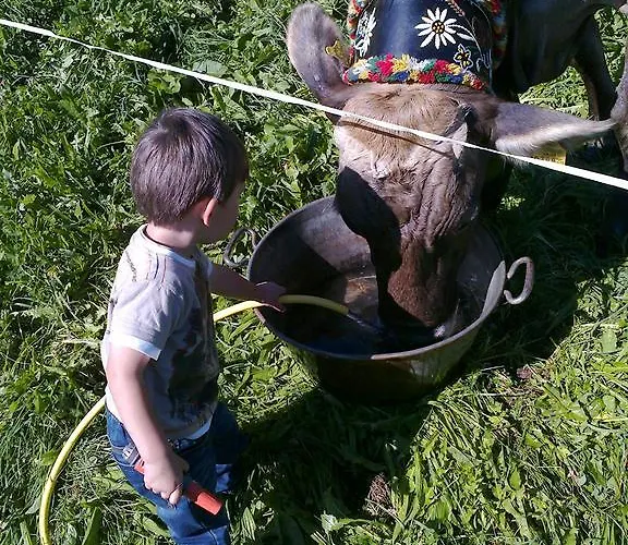 Appartement Zeller *